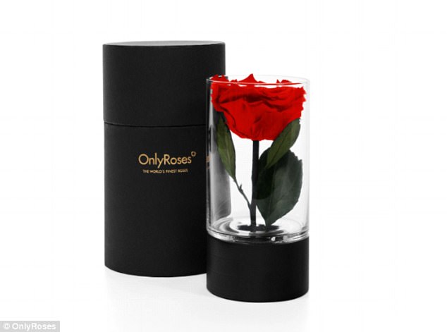 onlyroses