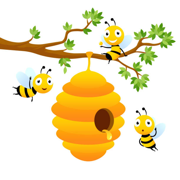 honey bee pictures cartoon