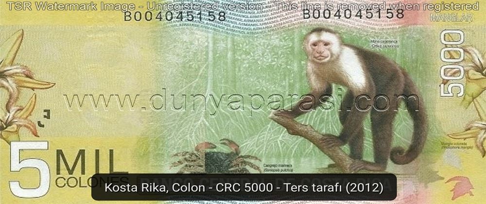 costa rica para birimi