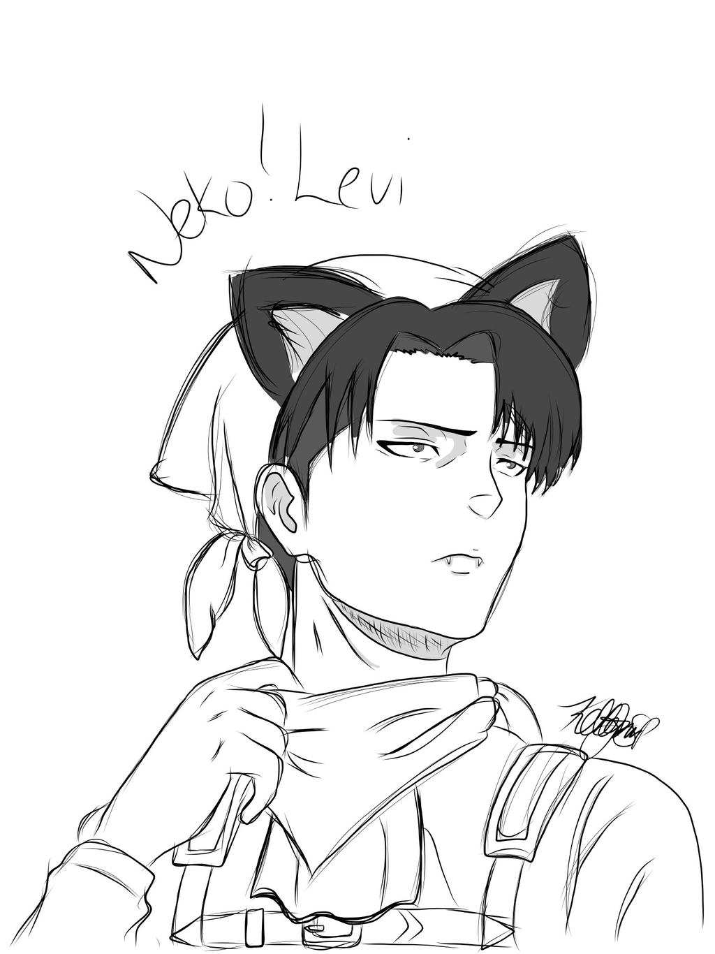 neko levi ackerman