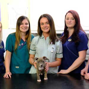 abercorn veterinary clinic