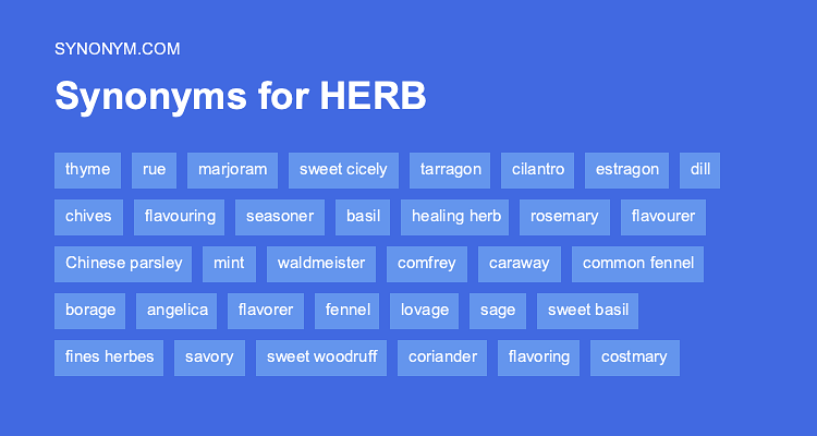 synonyms for herbs