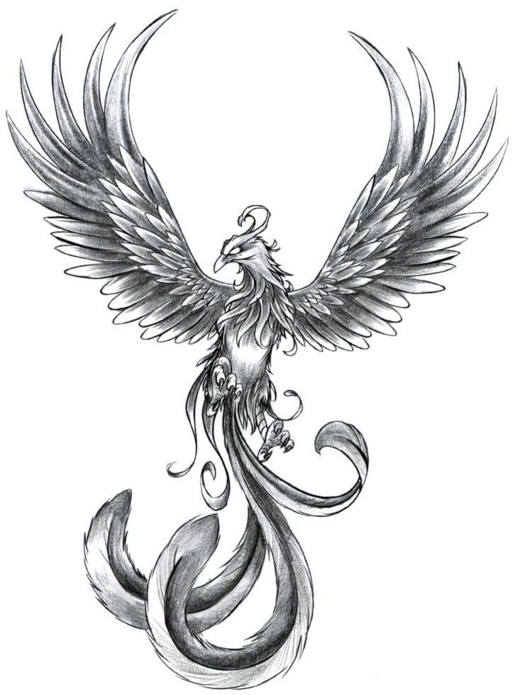 ave fenix tattoo