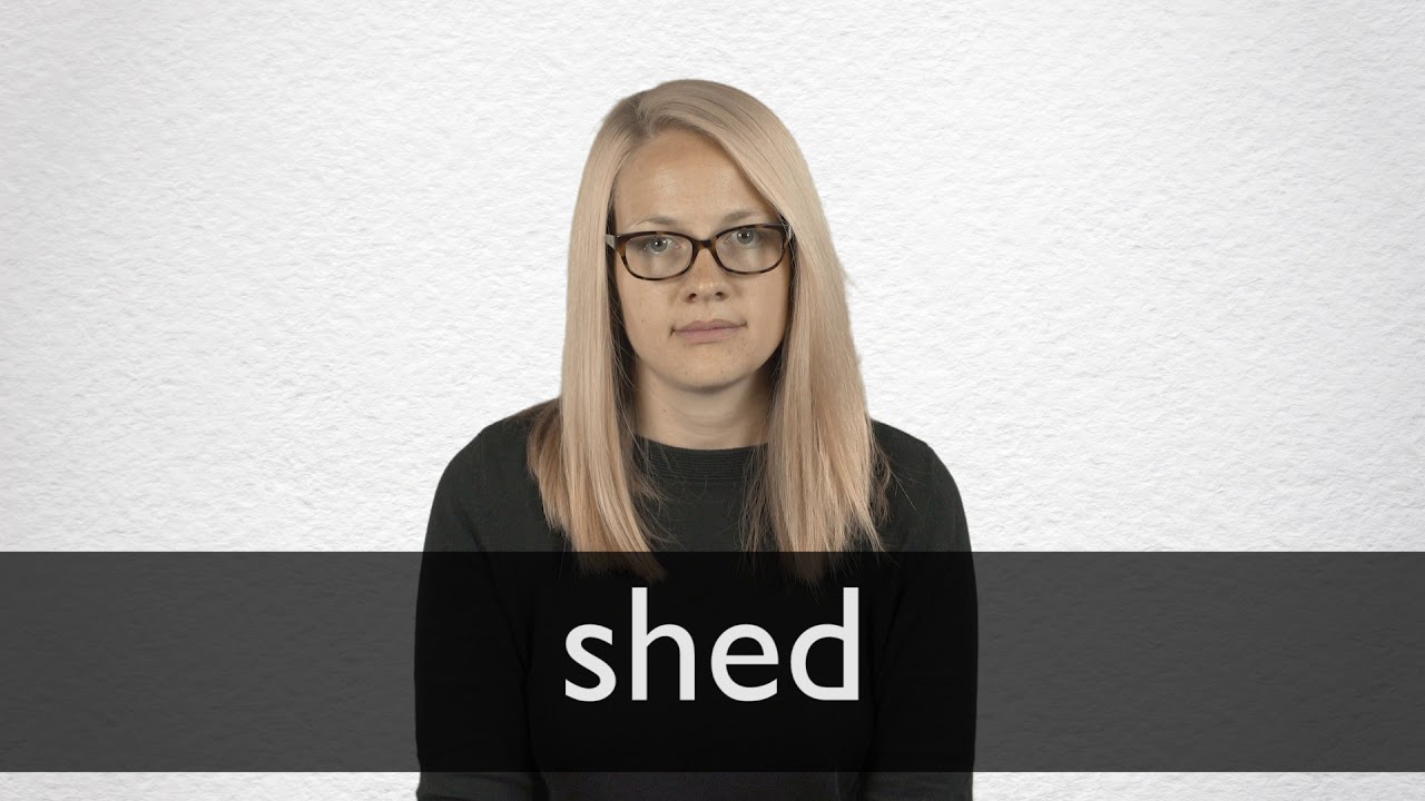 shed 意味