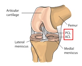 acl tear icd 10