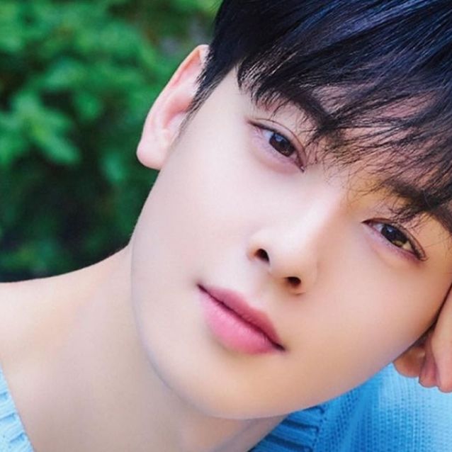 actor coreano cha eun woo