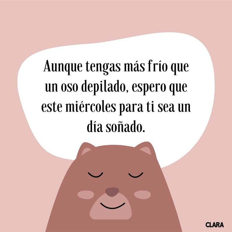 frases graciosas frio