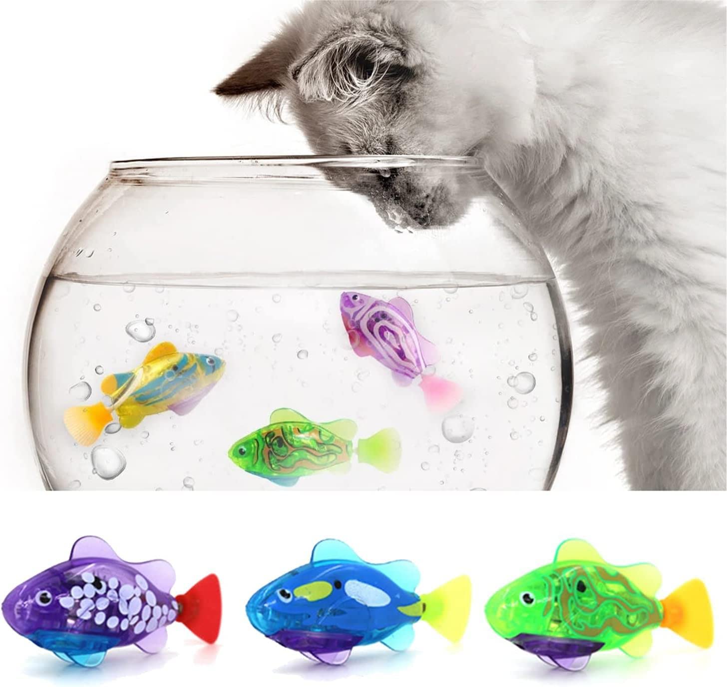 swimming fish for cats