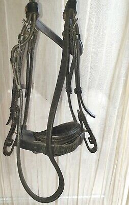 albion bridle