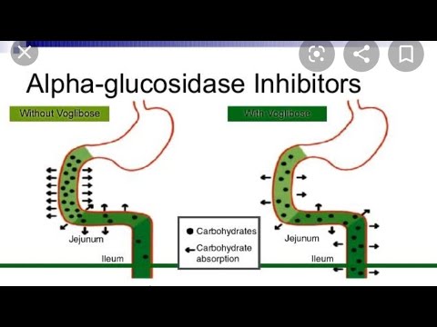 alpha glucosidase inhibitors