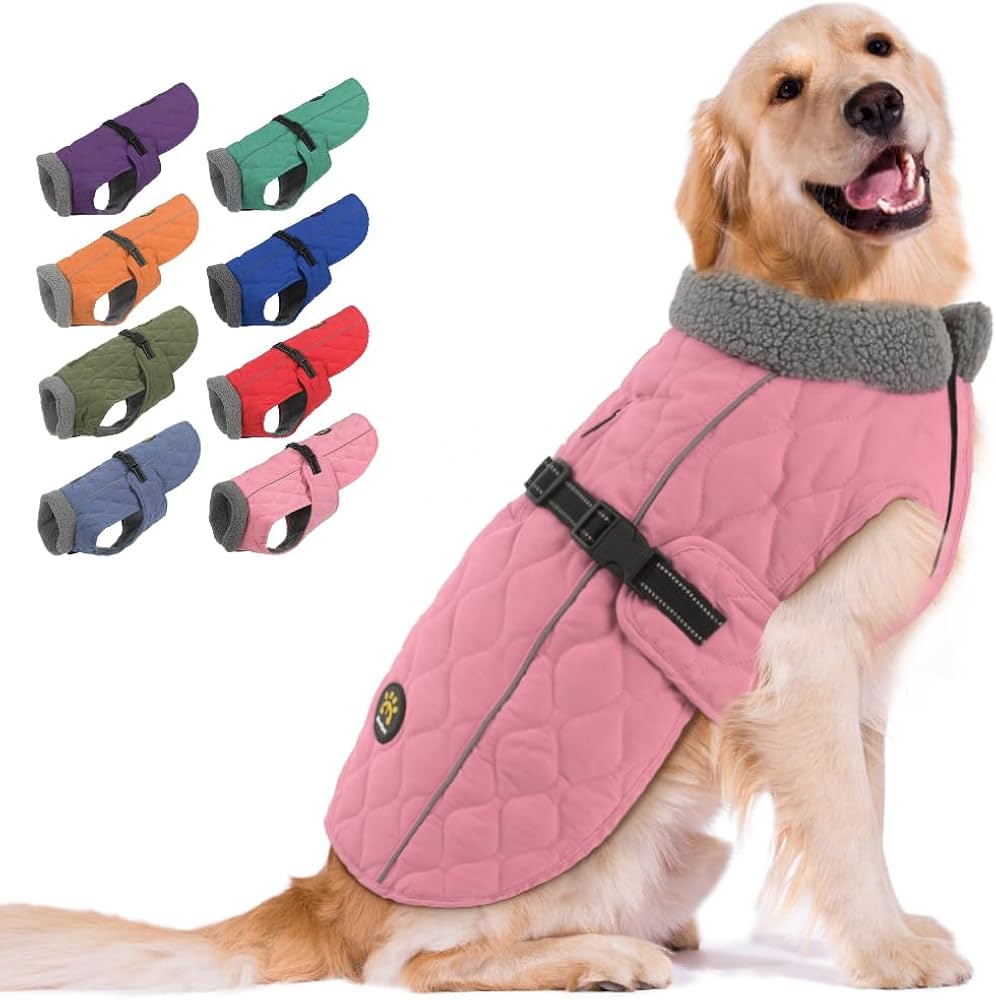 amazon dog coats