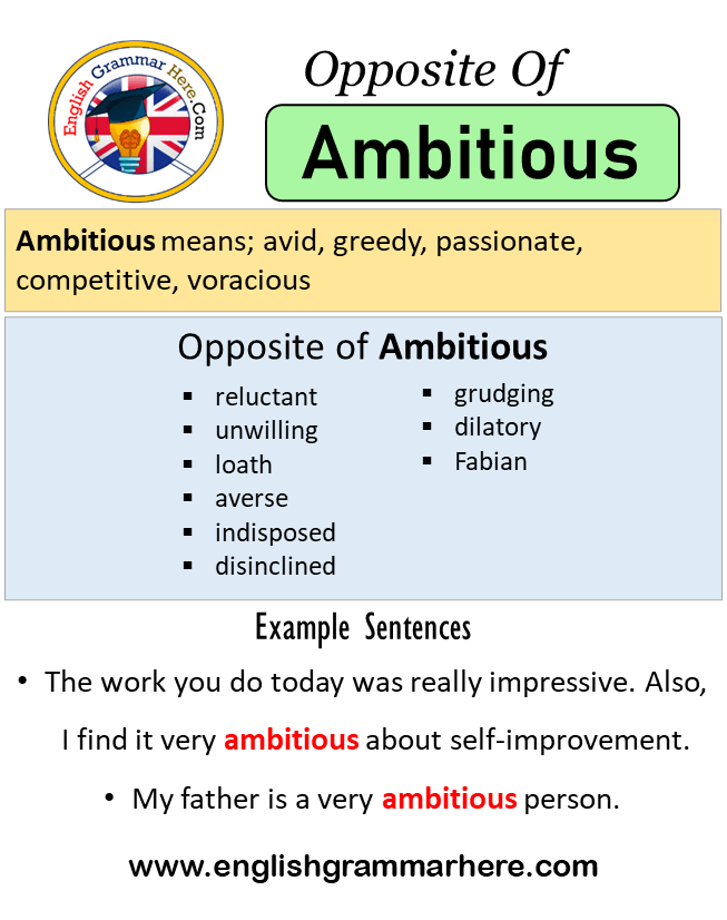 ambitious thesaurus