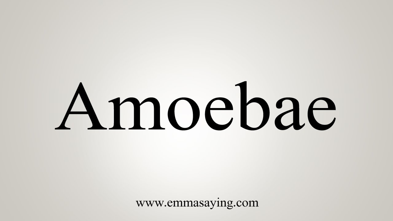 amoeba pronounce