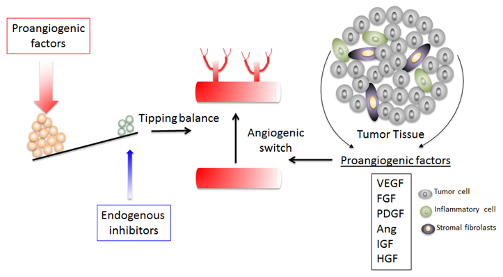 angiogenic