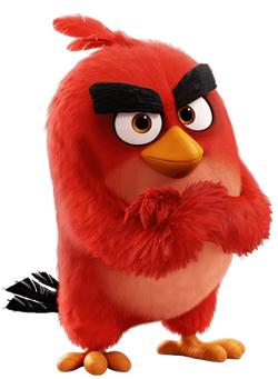 angry bird dp