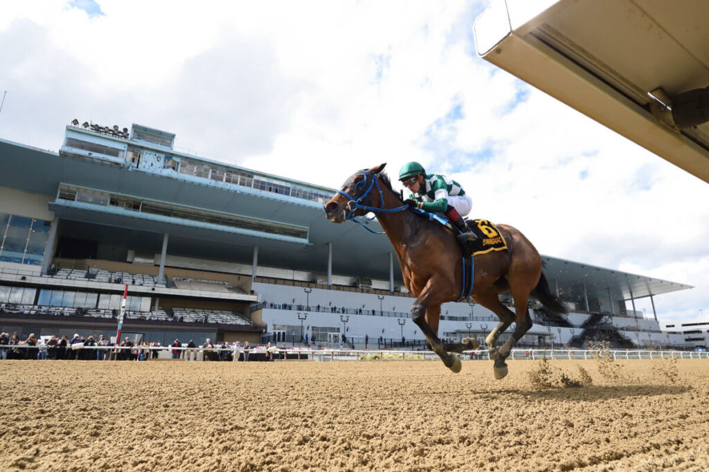 aqueduct race