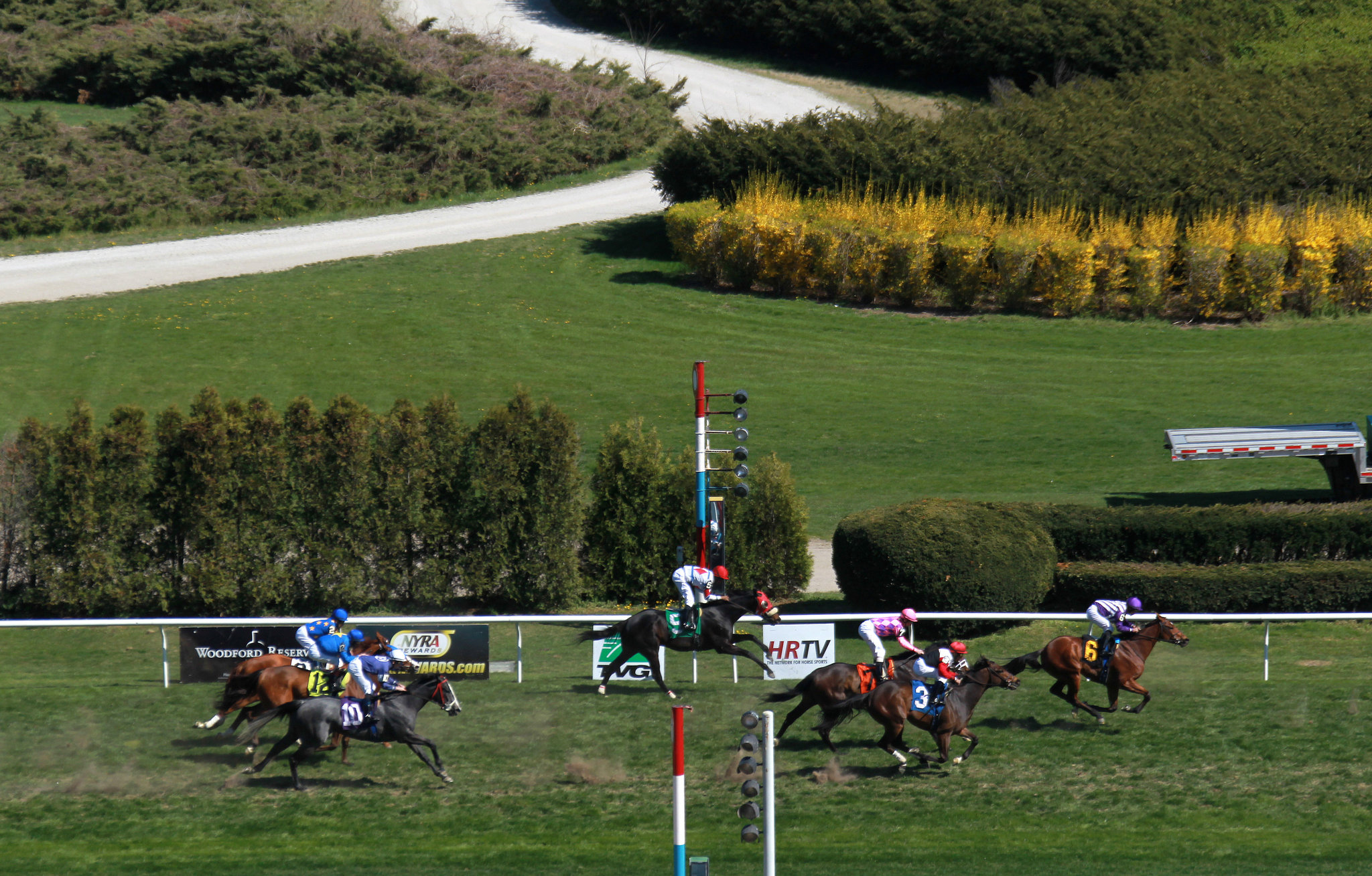 aqueduct racetrack live racing