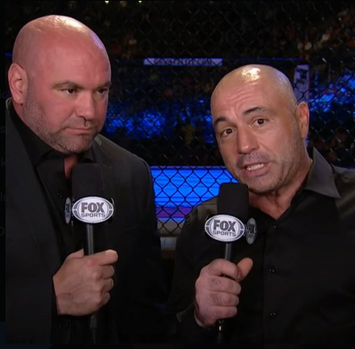 are joe rogan and dana white the same person