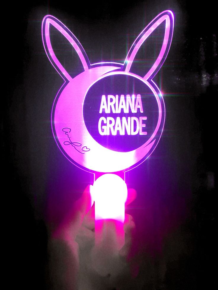 ariana grande lightstick