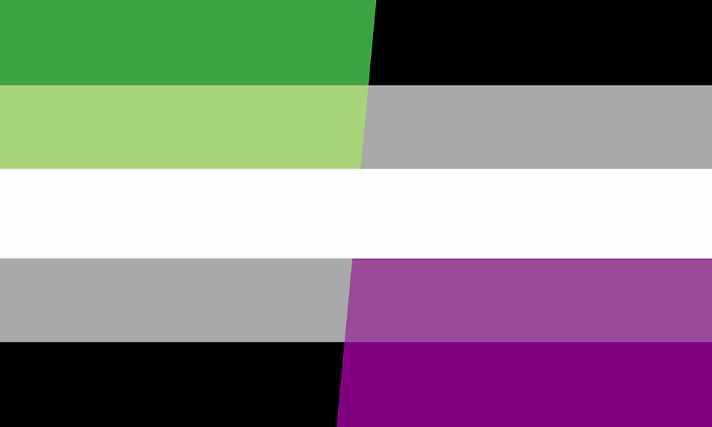 aro ace flag