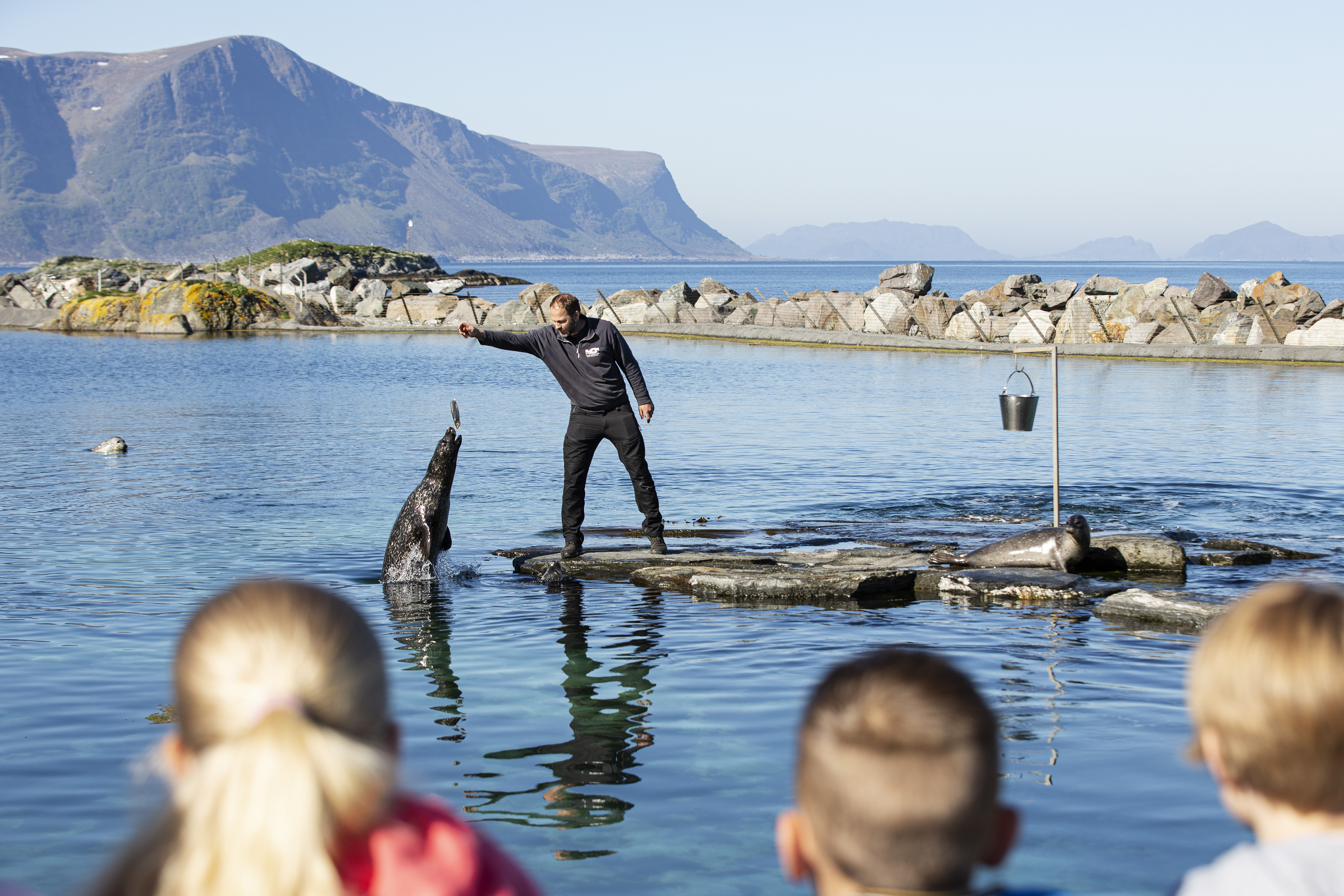 atlantic sea park alesund