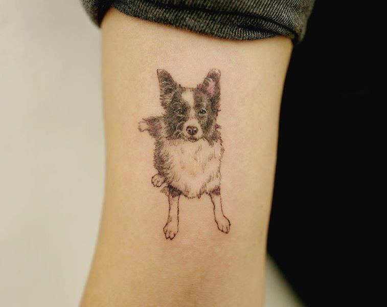 aussie shepherd tattoo