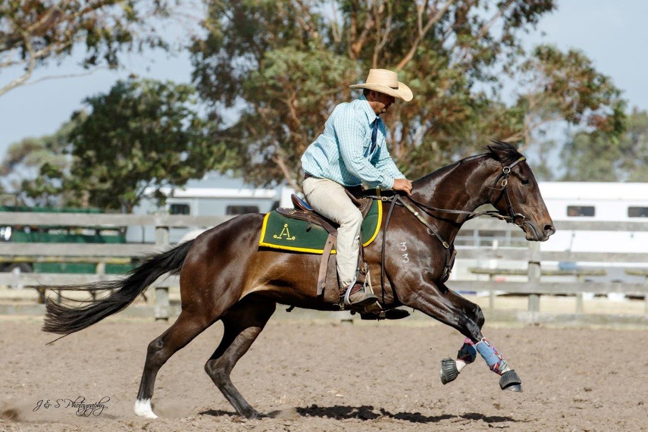 australian stock photos