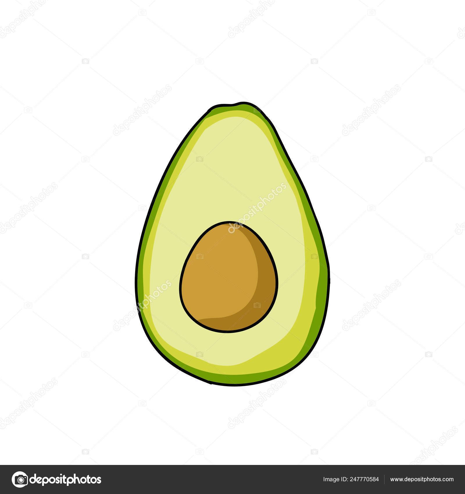 avocado doodle