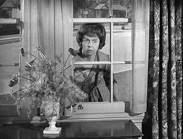 gladys kravitz