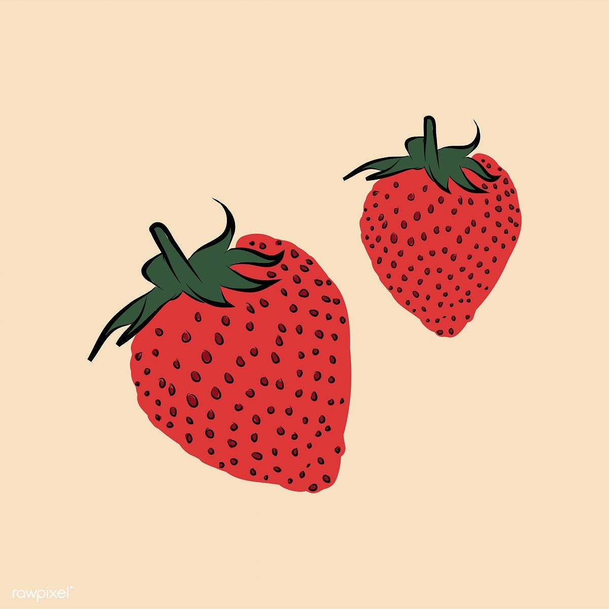 strawberry illustration