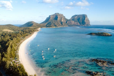 flights to lord howe island