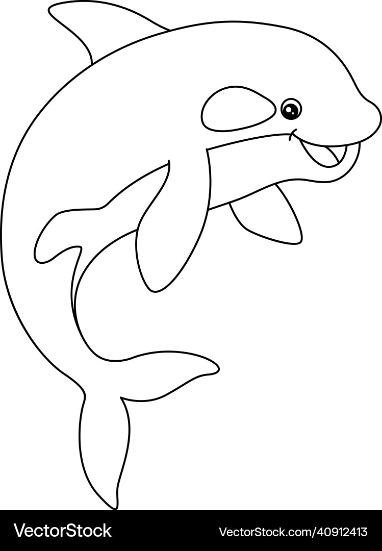 killer whale coloring page