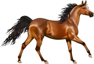 transparent horse png