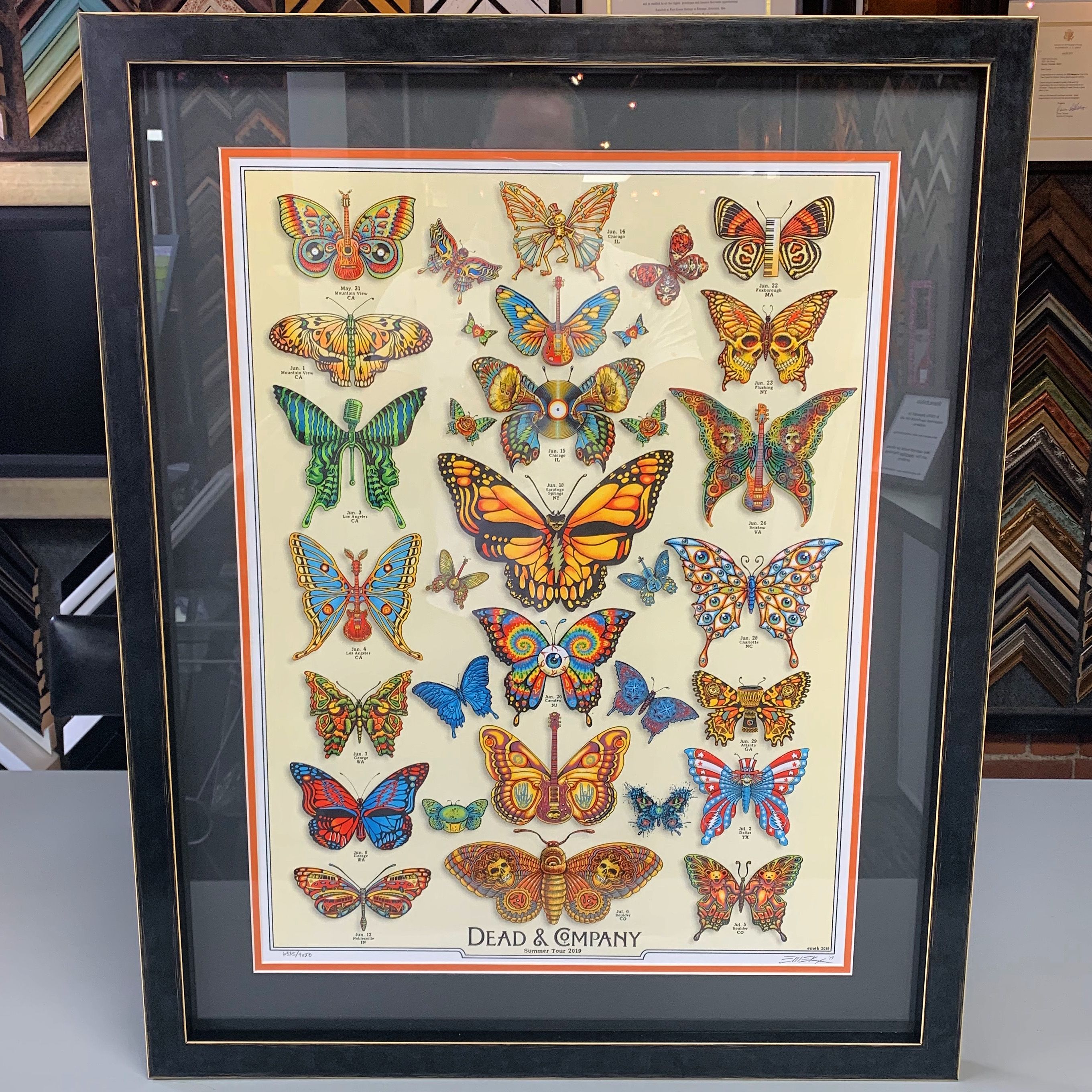 dead and company butterfly poster