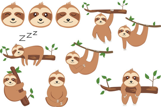 sloth clipart