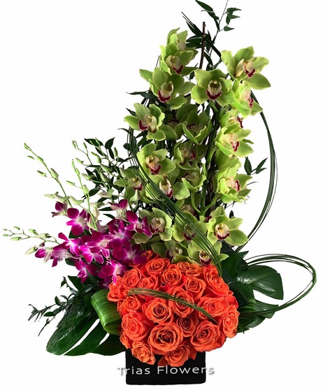 www.trias flowers.com