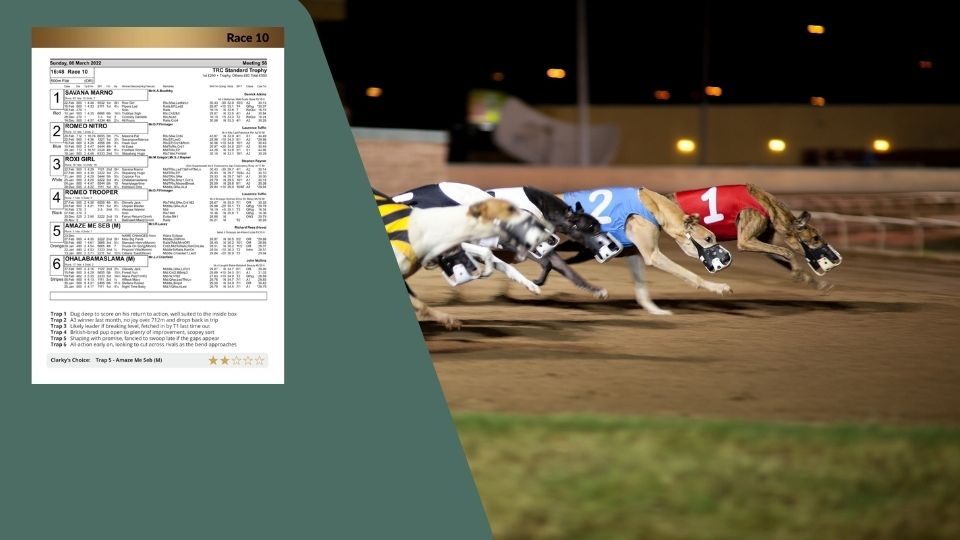 greyhound racing results today