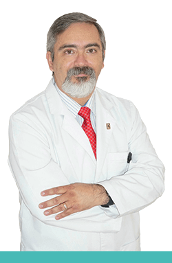 dr ortega martell