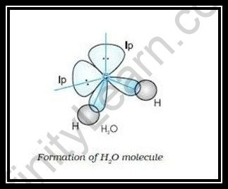 hybridization in h2o