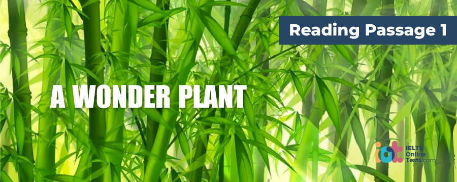 bamboo a wonder plant reading answers