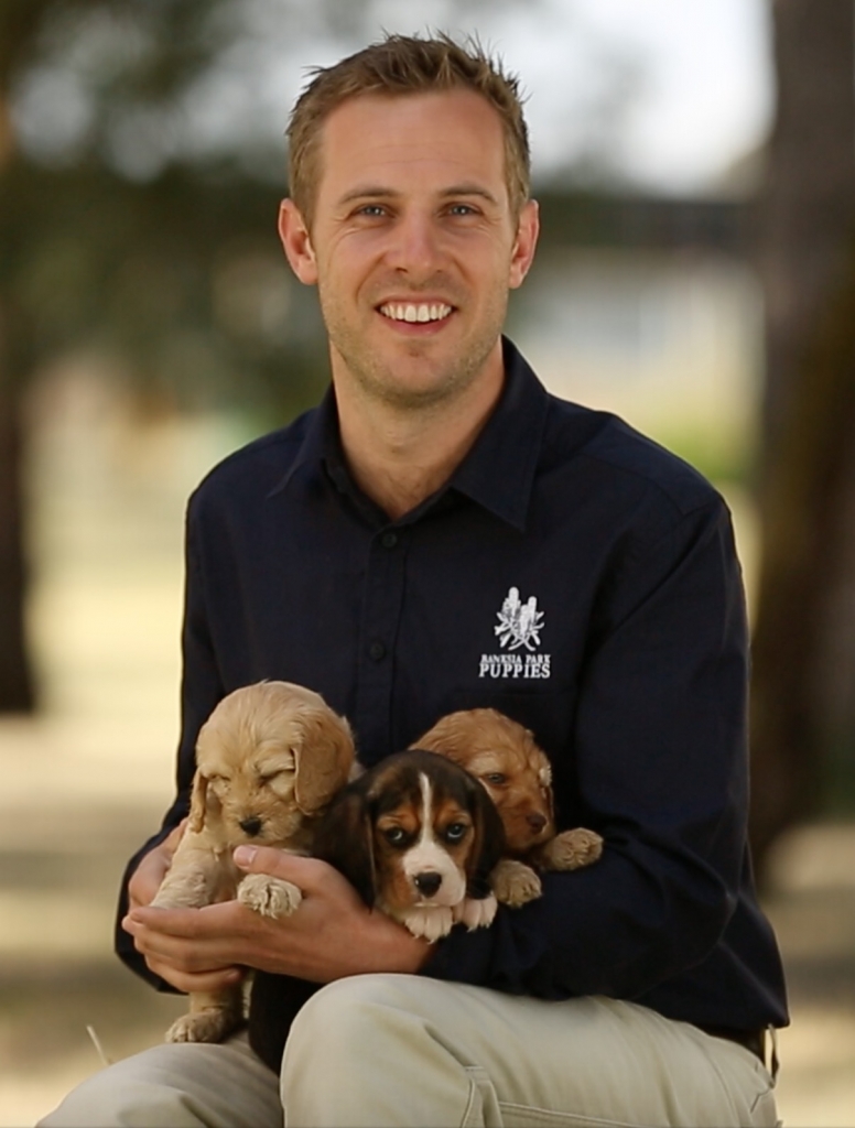 banksia puppies