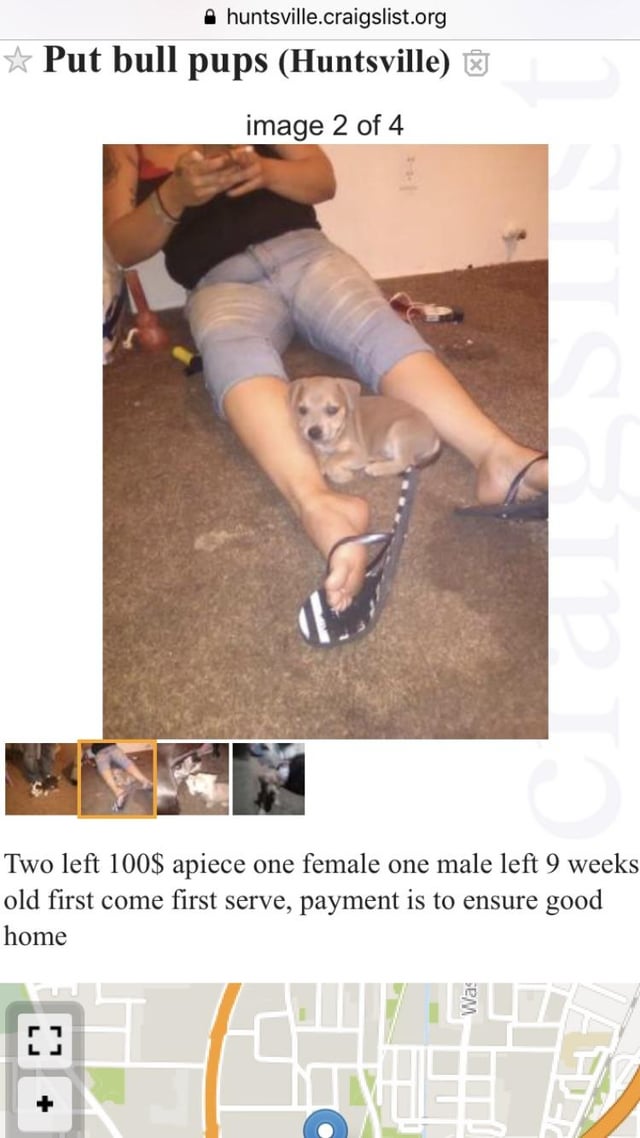 craigslist huntsville al