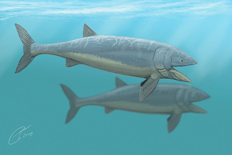 leedsichthys