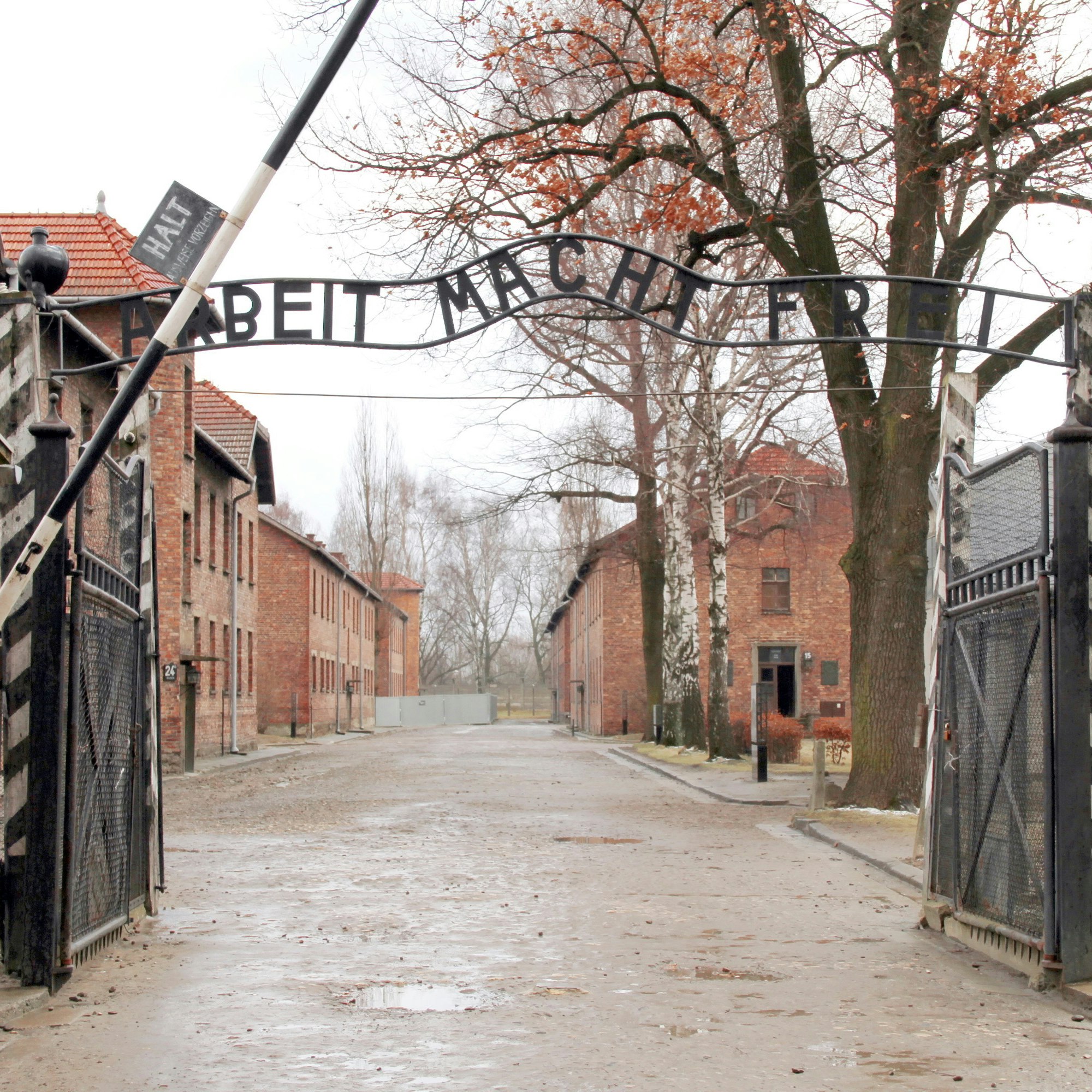 memorial and museum auschwitz birkenau oswiecim poland