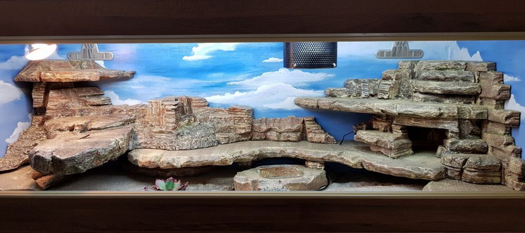 bearded dragon hide ideas