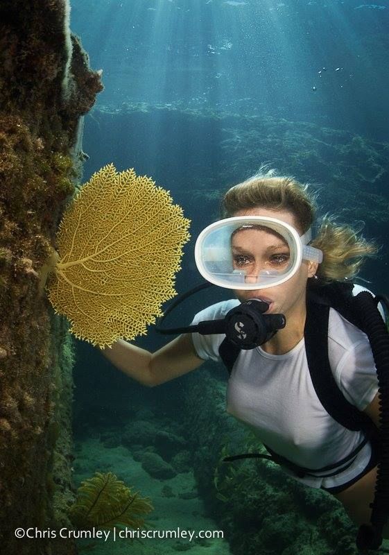 beautiful scuba woman