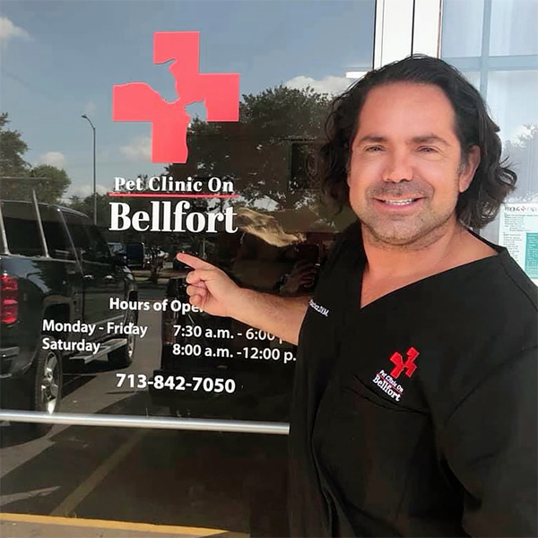 bellfort animal hospital