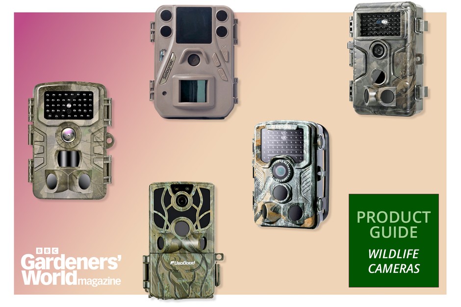 best budget trail camera uk