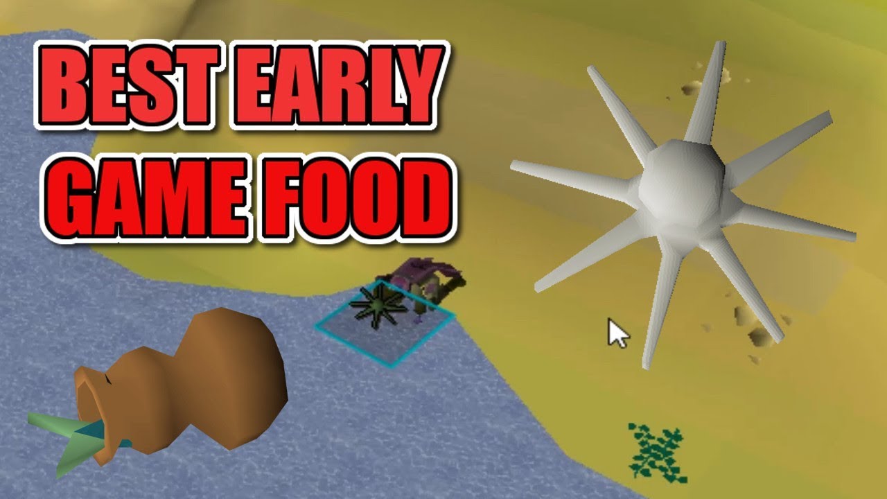 best ironman food osrs