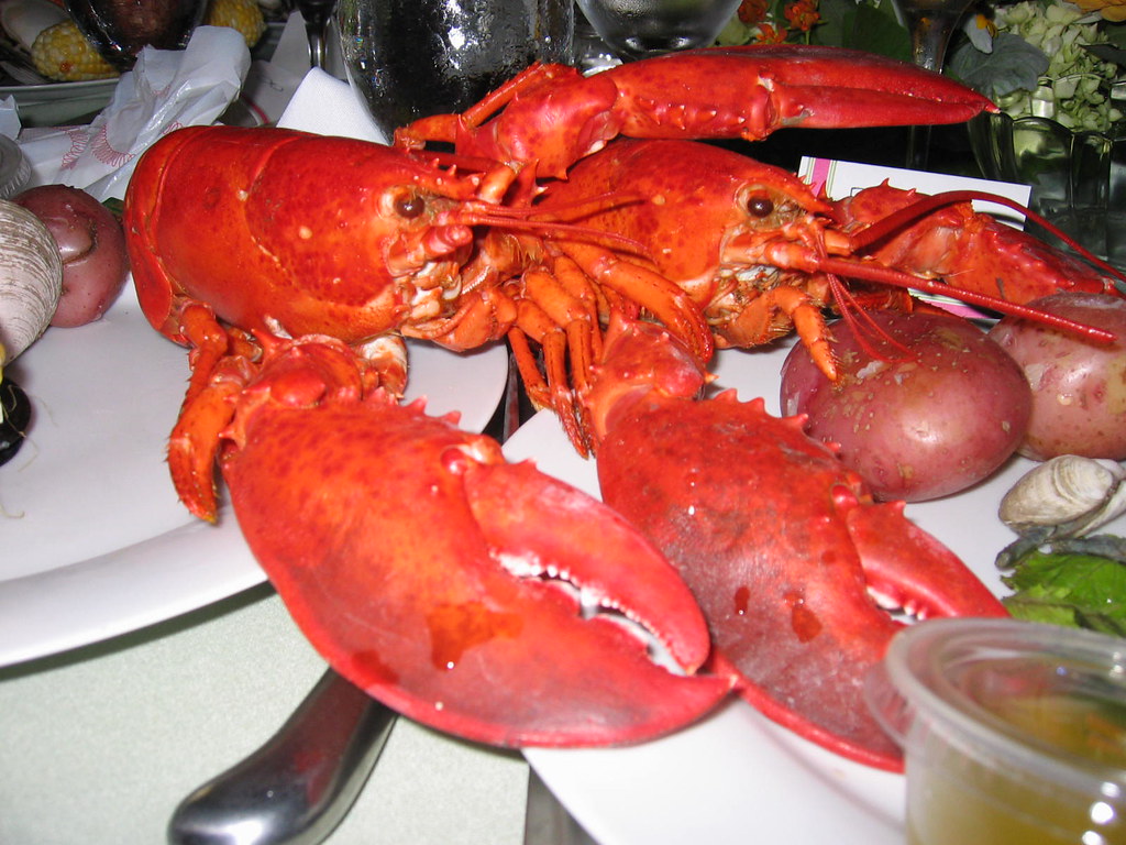 lobsterporn